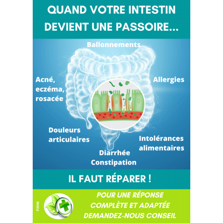 AFFICHE COMPTOIR INTESTINOV (x1)