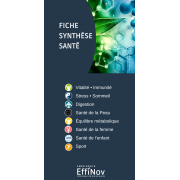 Fiche de Synthese SANTE