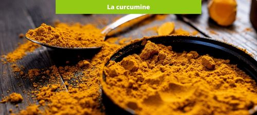 https://www.effinov-nutrition.fr/img/cms/Blog%20images/Curcuma-curcumine_1.jpg