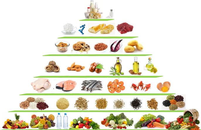 L'équilibre alimentaire, Nutrition & santé